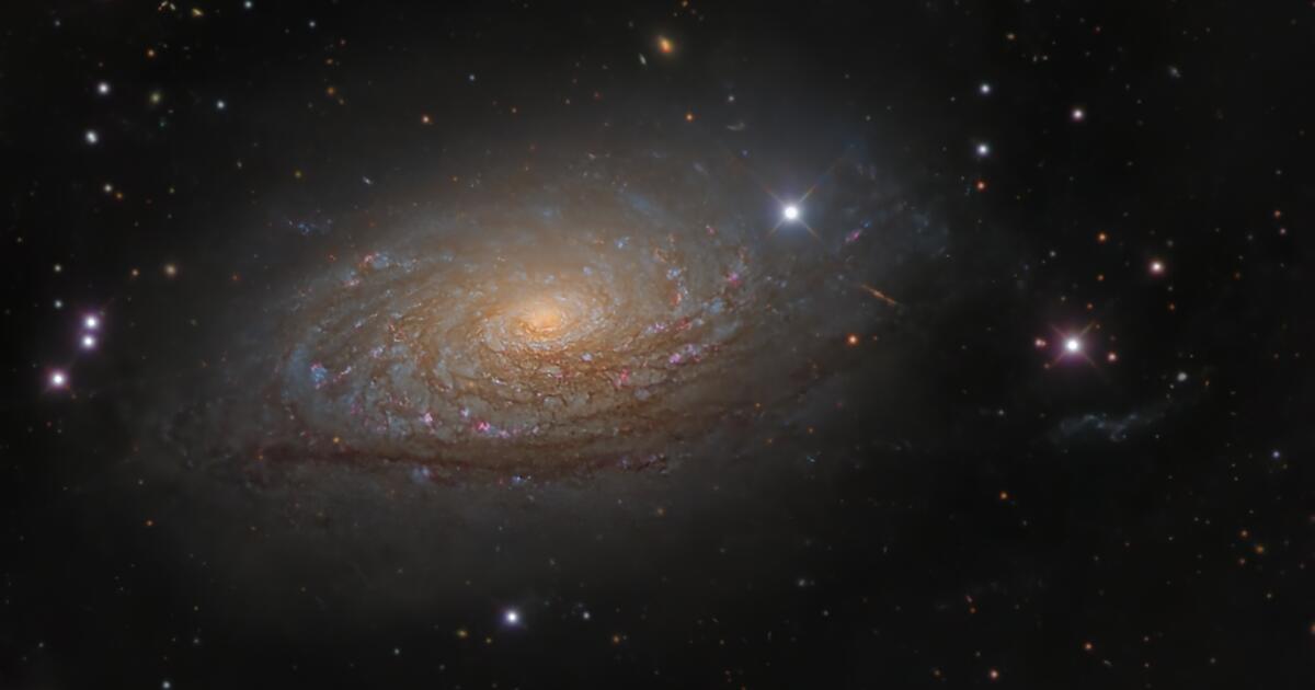 Sunflower Galaxy (M63) Telescope Live